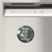 Eichhörnchen stellen mich Lächeln-Tier-Magneten Magnet (In Situ (Geschirrspüler))