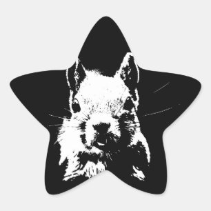 Eichhörnchen Stern-Aufkleber