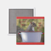 Eichhörnchen Stew... SIND SIE NUTS? Magnet (Vorderseite/Rückseite)