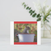 Eichhörnchen Stew ... SIND SIE NUTS?!? Postkarte (Stehend Vorderseite)
