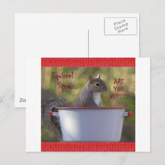 Eichhörnchen Stew ... SIND SIE NUTS?!? Postkarte (Vorne/Hinten)
