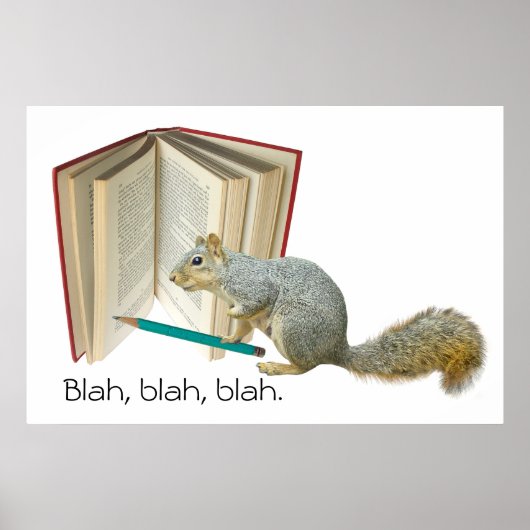 Eichhörnchen-Stift-Poster Poster (Vorne)