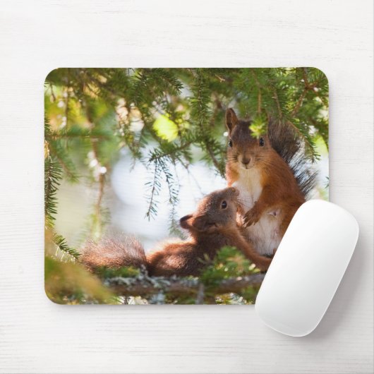 Eichhörnchen-Stillen Mousepad (Mit Mouse)