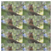 Eichhörnchen Stoff (Muster)
