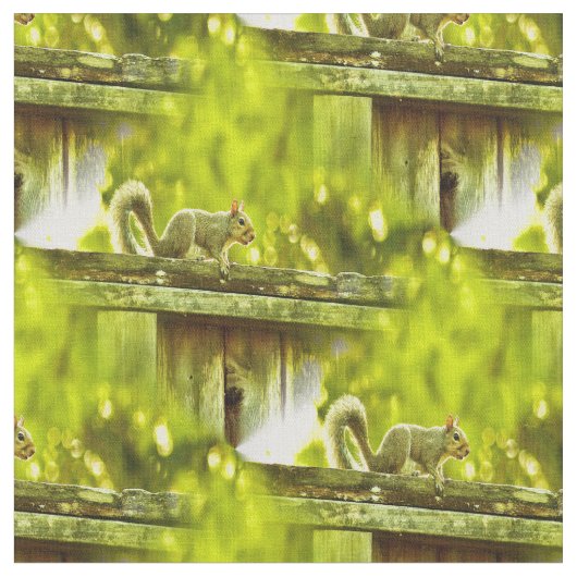 Eichhörnchen Stoff (Nahaufnahme)