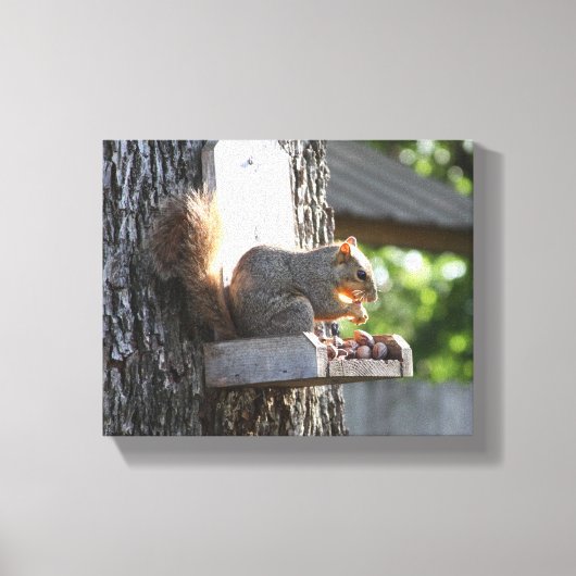Eichhörnchen Stretched Canvas Print Leinwanddruck (Vorderseite)