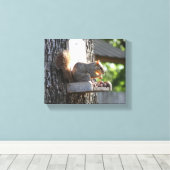 Eichhörnchen Stretched Canvas Print Leinwanddruck (Insitu (Holzboden))