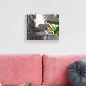 Eichhörnchen Stretched Canvas Print Leinwanddruck (Insitu (Wohnzimmer))