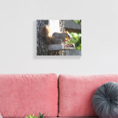 Eichhörnchen Stretched Canvas Print Leinwanddruck (Insitu (Wohnzimmer))