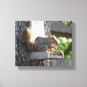 Eichhörnchen Stretched Canvas Print Leinwanddruck