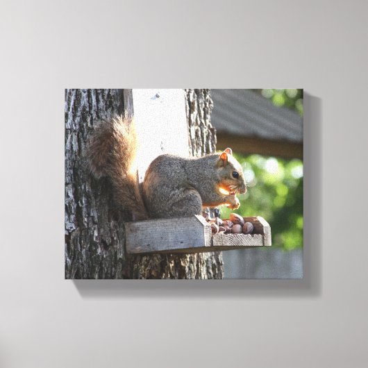 Eichhörnchen Stretched Canvas Print Leinwanddruck (Vorderseite)