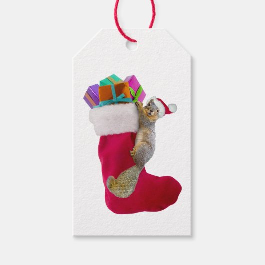 Eichhörnchen-Strumpf-Geschenktasten Geschenkanhänger (Vorderseite)