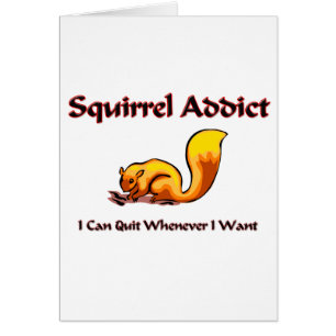 Eichhörnchen-Süchtiger