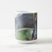 Eichhörnchen Tasse (Mittel)