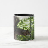 Eichhörnchen Tasse (Zentrum)