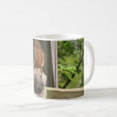 Eichhörnchen-Tasse Kaffeetasse (VorderseiteRechts)