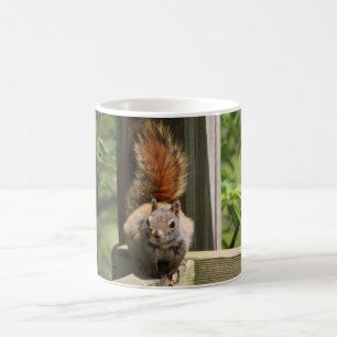 Eichhörnchen-Tasse Kaffeetasse