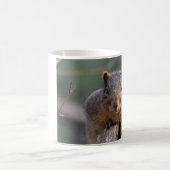 Eichhörnchen-Tasse Kaffeetasse (Mittel)