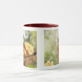 Eichhörnchen-Tasse Tasse (Zentrum)