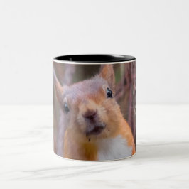 Eichhörnchen-Tasse Zweifarbige Tasse