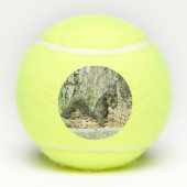 Eichhörnchen Tennisbälle (Rückseite)