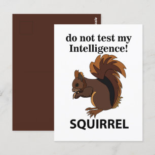 Eichhörnchen teste nicht meine Intelligenz Eichhör Postkarte