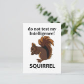 Eichhörnchen testen meine Intelligenz nicht Postkarte (Stehend Vorderseite)