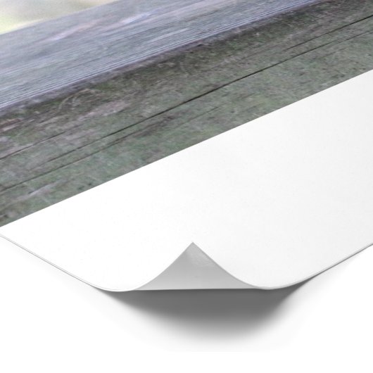 Eichhörnchen "The Boss" Poster (Ecke)