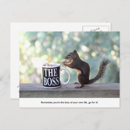 Eichhörnchen "The Boss" Postkarte (Vorne/Hinten)