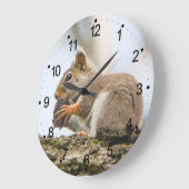 Eichhörnchen Tiere Waldland Natur Große Wanduhr (Winkel)