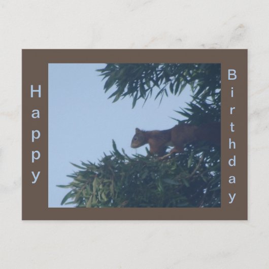 Eichhörnchen "Tree Happy Birthday Postcard" Postkarte (Vorderseite)
