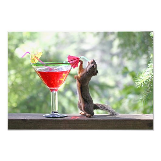 Eichhörnchen trinken einen Cocktail in Happy Hour Fotodruck (Vorne)