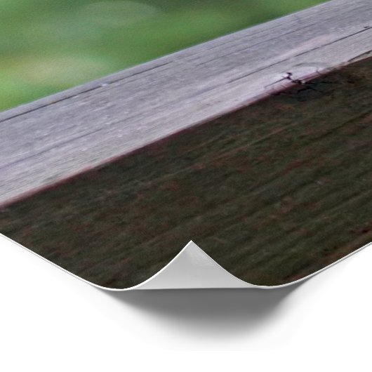 Eichhörnchen trinken einen Cocktail in Happy Hour Poster (Ecke)