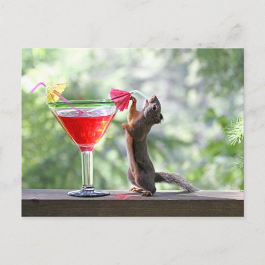 Eichhörnchen trinken einen Cocktail in Happy Hour Postkarte (Vorderseite)