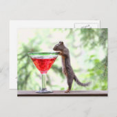 Eichhörnchen trinken einen Cocktail Postkarte (Vorne/Hinten)