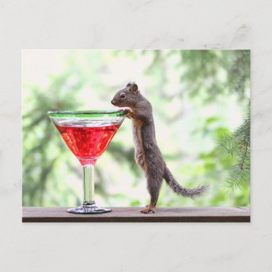 Eichhörnchen trinken einen Cocktail Postkarte (Vorderseite)