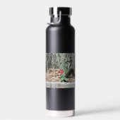 Eichhörnchen Trinkflasche (Rechts)