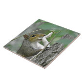 Eichhörnchen Trivet Fliese (Seite)
