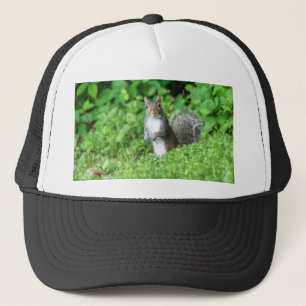 Eichhörnchen Truckerkappe