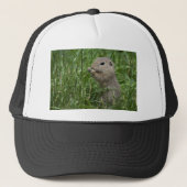 Eichhörnchen Truckerkappe (Vorderseite)