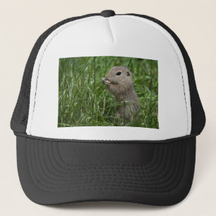 Eichhörnchen Truckerkappe