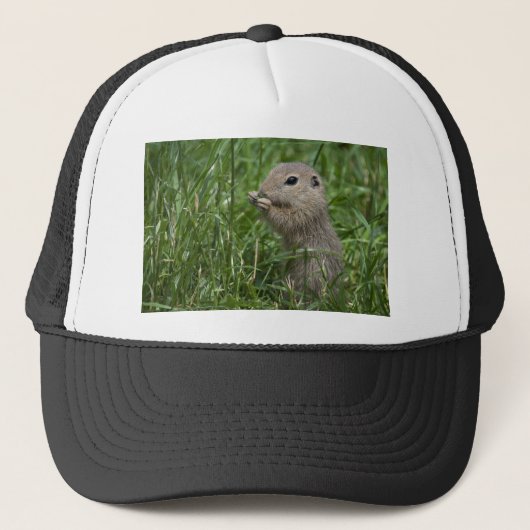 Eichhörnchen Truckerkappe (Vorderseite)