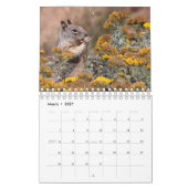 Eichhörnchen u. Chipmunks Kalender (Mär 2027)