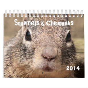 Eichhörnchen u. Chipmunks Kalender