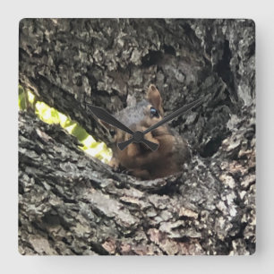 Eichhörnchen-Uhr Quadratische Wanduhr