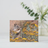 Eichhörnchen und Chipmunk Postkarte (Stehend Vorderseite)