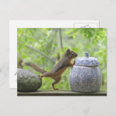Eichhörnchen und Cookie Jar Postkarte (Vorne/Hinten)