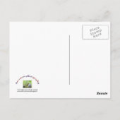 Eichhörnchen und Cookie Jar Postkarte (Rückseite)