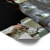 Eichhörnchen und Gitarre Poster (Ecke)