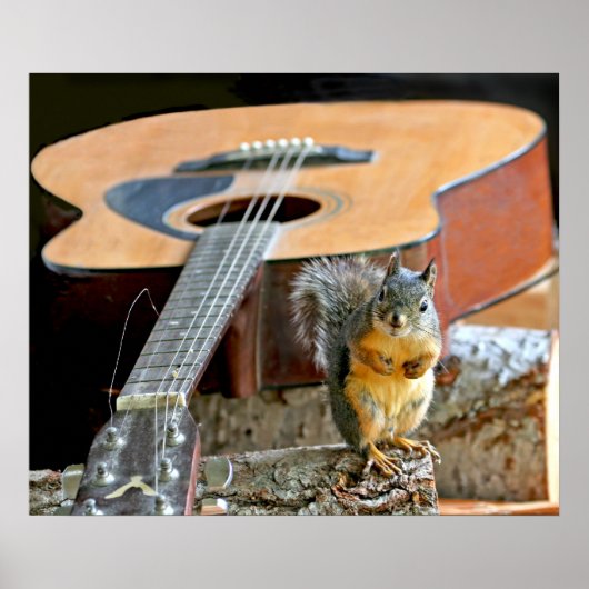 Eichhörnchen und Gitarre Poster (Vorne)